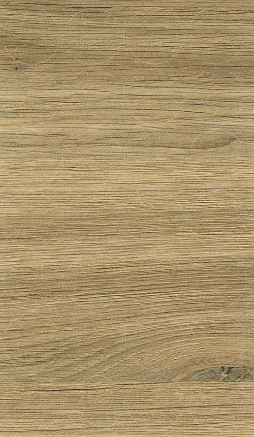 Abdeckkappen Wildeiche 20 mm
